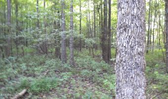 504 247 Country Rd, Bruce, MS 38915