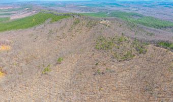 Larkin Mountain, Amherst, VA 24521