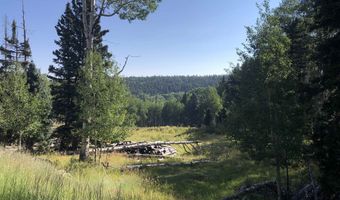 168 Mertz Pl Lot 65, Angel Fire, NM 87710