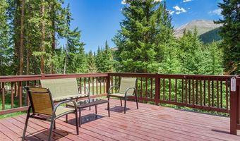 16 Bemrose Trl, Blue River, CO 80424