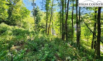 297 Old Turnpike NW Rd, Banner Elk, NC 28604