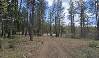 Yak Lane, Bonanza, OR 97623