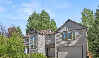 528 Lake Ct, Basalt, CO 81621