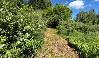 2636 Murphy Hill Rd, Andes, NY 13731