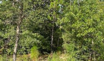 Largo Street, Alford, FL 32420