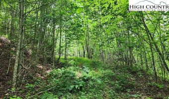 Tbd Teaster Valley Lane, Banner Elk, NC 28604