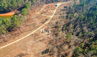440 Abundance Way, Appling, GA 30802