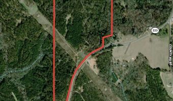 AL HWY 223, Banks, AL 36005