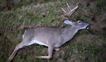 1037 Cr 300, Big Creek, MS 38914