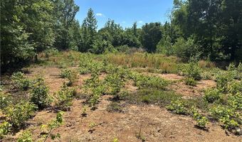 127 Sam Sutton Rd NW, Adairsville, GA 30103