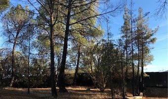 58160 Bliss, Anza, CA 92539