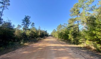 Adams Drive lot 9, Alford, FL 32420