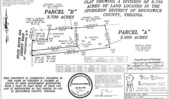 3 73 Ac. Liberty Rd Lot Parcel B, Alberta, VA 23821