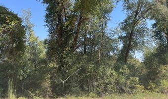 Union Drive, Alford, FL 32420