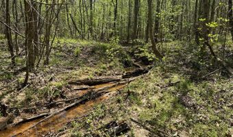 000 Fowler Rd, Beech Bluff, TN 38313