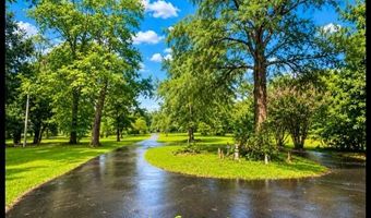 979 SNOW LAKE Dr, Ashland, MS 38603