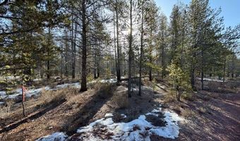 Lot 6 Scott View Drive, Chiloquin, OR 97624