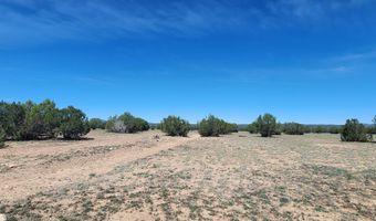 N xxxxx Road 249A, Ash Fork, AZ 86320