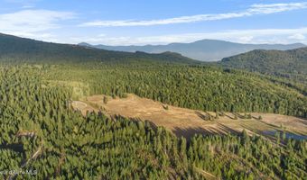 4575 Blacktail Rd, Careywood, ID 83809