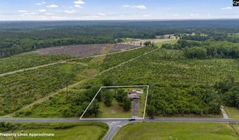 3204 Windmill Rd, Leesville, SC 29070