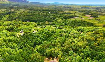 2376 Middle Creek Rd, Afton, TN 37616