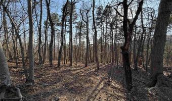 OLD STONY RIDGE RD lot 7, Afton, VA 22920