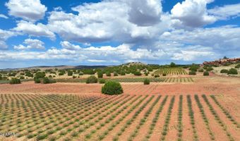 14 COUNTY ROAD 5309, Concho, AZ 85924