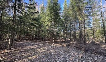 V/L Wildwood Road lot 9, Alger, MI 48610