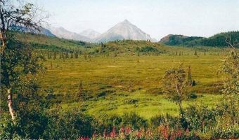 L2 Purinton Creek Trail, Chickaloon, AK 99674