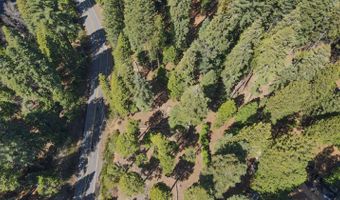 403 Sierra Pkwy, Camp Connell, CA 95223