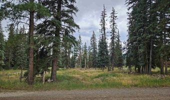 1229 W Vallecito Creek Rd, Bayfield, CO 81122