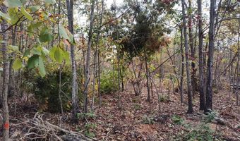 Happy Trails Lane lot 8, Appomattox, VA 24522