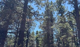 Spanish Peaks Dr, Aguilar, CO 81020