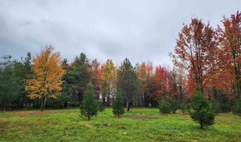 9537 LAKEVIEW, Alanson, MI 49706