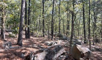 Tract 51 Highway 2, Antlers, OK 74523