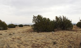 21 County Rd, Concho, AZ 85924