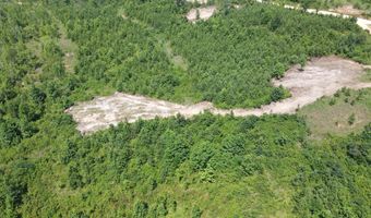 Tract 4 Tucker Rd, Bath Springs, TN 38311
