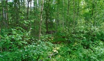 Lot 102 Nw Loc Sault Avenue, Anchorage, AK 99516