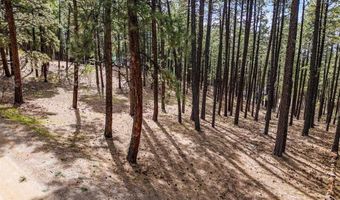 272 Timber Dr, Bayfield, CO 81122