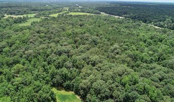 Pine Lodge Road, Batesville, MS 38606