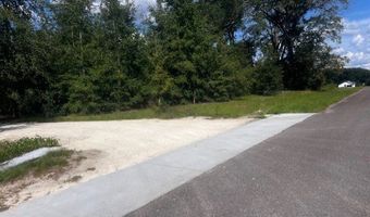 4899 36th St, Bell, FL 32619