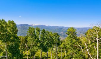 114 Goldenrod, Avon, CO 81620