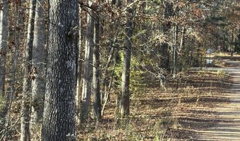 33 Eagle Rdg, Ball Ground, GA 30107