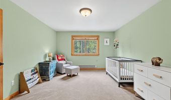 366 Quartzville Rd, Alma, CO 80420