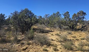 4 County Rd, Concho, AZ 85924