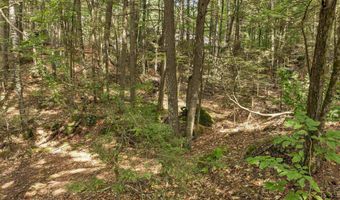 Lot 36 Mauhaut Shores Road, Alton, NH 03810