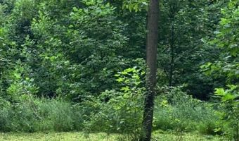 0 Mountain Springs Rd, Alum Bank, PA 15521