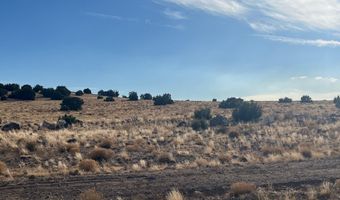 CR5139, Concho, AZ 85924