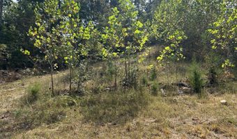 Hc 73 Box 4925 Track 20, Ava, MO 65608