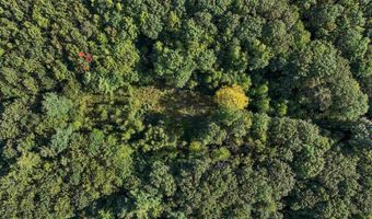 Chamberlain Road lot 11, Alton, NH 03809